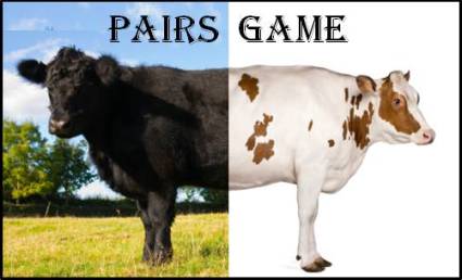 Pairs Game